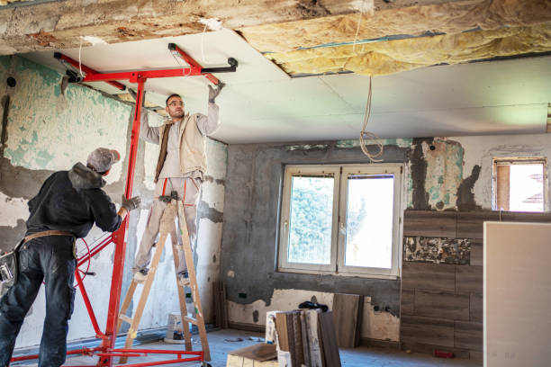 Best Insulation Maintenance and Repair in Richmond, MN
