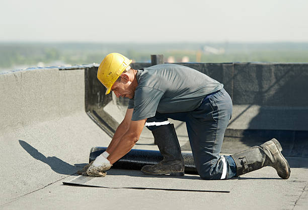 Best Insulation Installation Services in Richmond, MN
